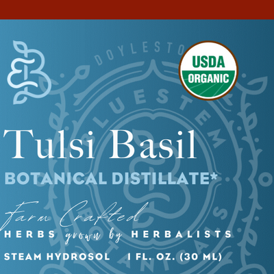 Hydrosol, Tulsi Basil (Temperate), ORG