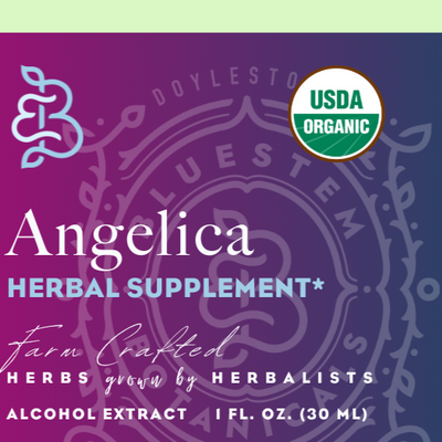 Cane Alcohol Tincture, Angelica European, Root, ORG