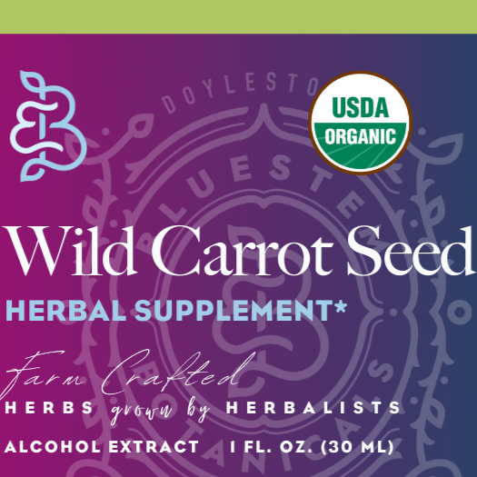 Cane Alcohol Tincture, Wild Carrot, ORG