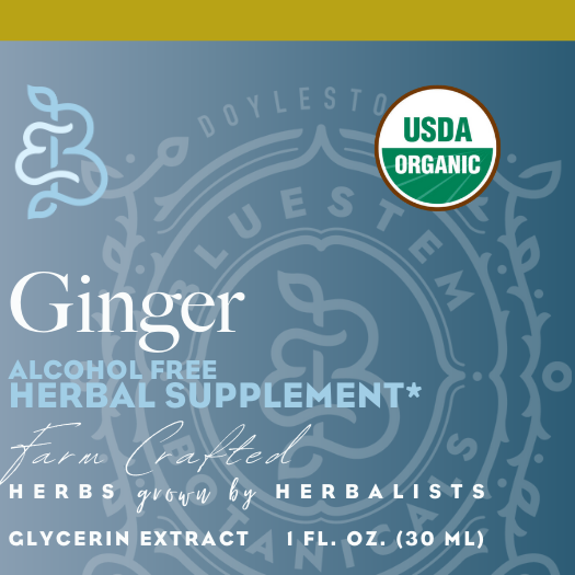 Glycerin Extract, Ginger, ORG