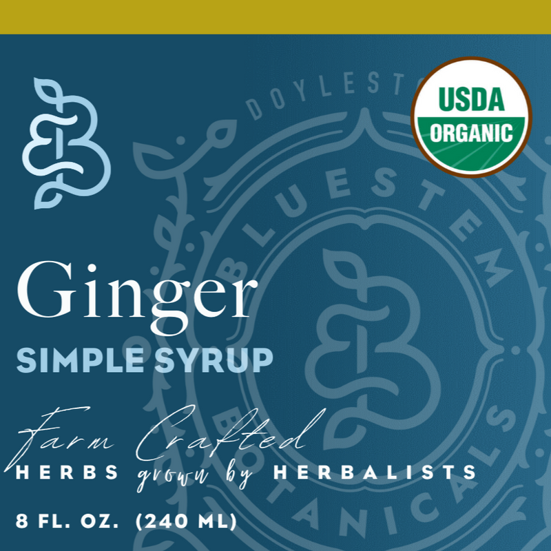 Simple Syrup, Ginger, ORG
