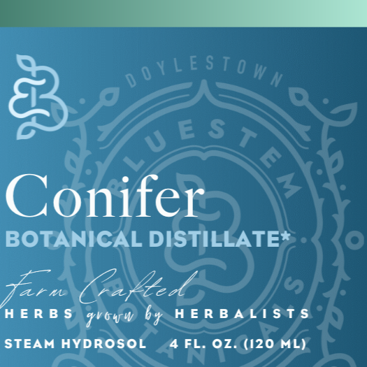 Hydrosol, Conifer Distillate