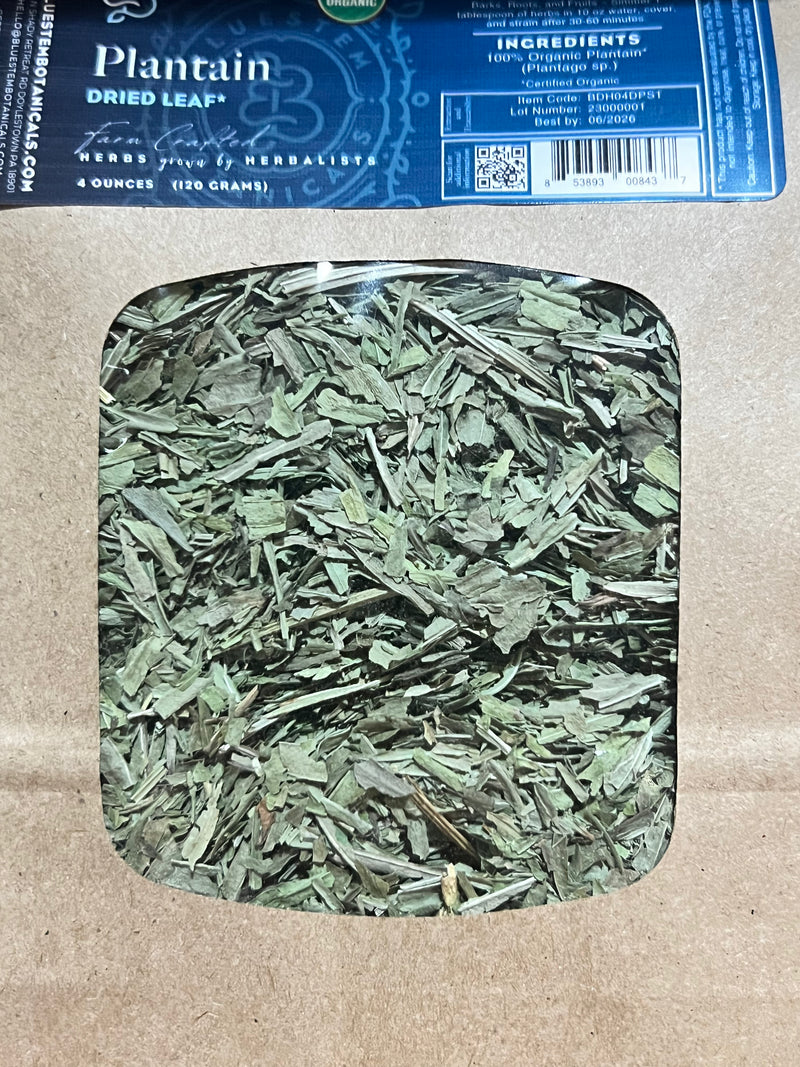 Dried Herb, Plantain Leaf, ORG