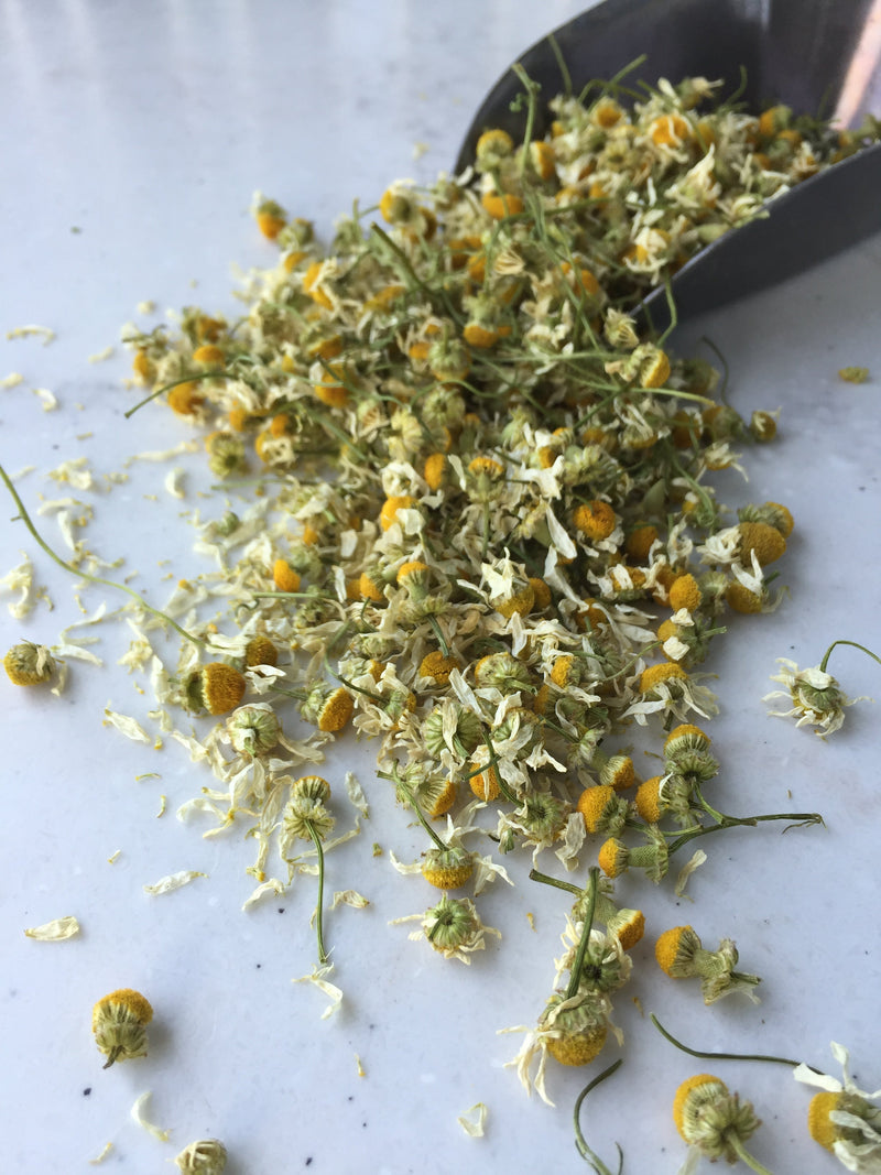 Dried Herb, Tulsi Basil (Vana), ORG